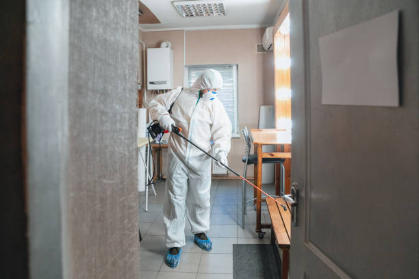 Best Asbestos and Lead Testing During Mold Inspection  in Delano, CA